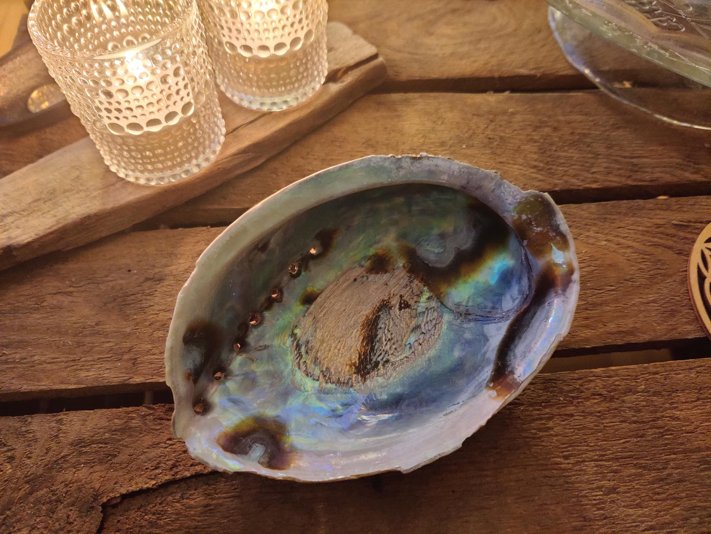 Regenbogen Abalone (Paua) Haliotis Iris – Die Muschel für dein Ritual
