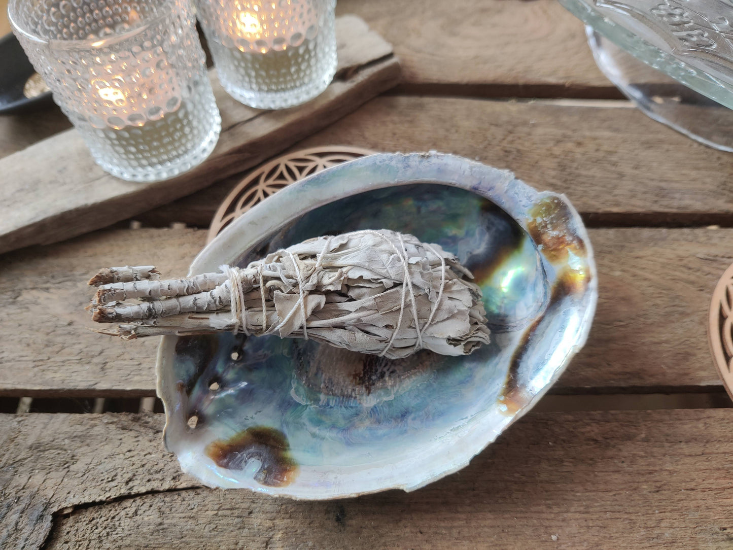 Regenbogen Abalone (Paua) Haliotis Iris – Die Muschel für dein Ritual