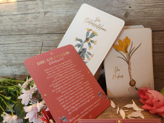 "Die geheimnisvolle Sprache der Blumen" - außergeöhnliche Orakelkarten im Set