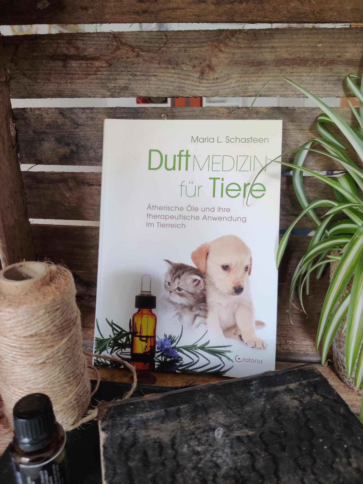 „Duftmedizin für Tiere“ – Aromatherapie für deine tierischen Gefährten