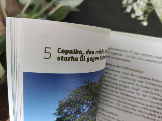 "Kleine Hausapotheke der wichtigsten ätherischen Öle" von Maria L. Schasteen