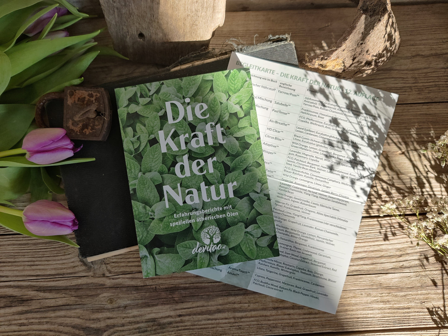 Buch: Die Kraft der Natur - Dein Begleiter in die Welt ätherischer Öle