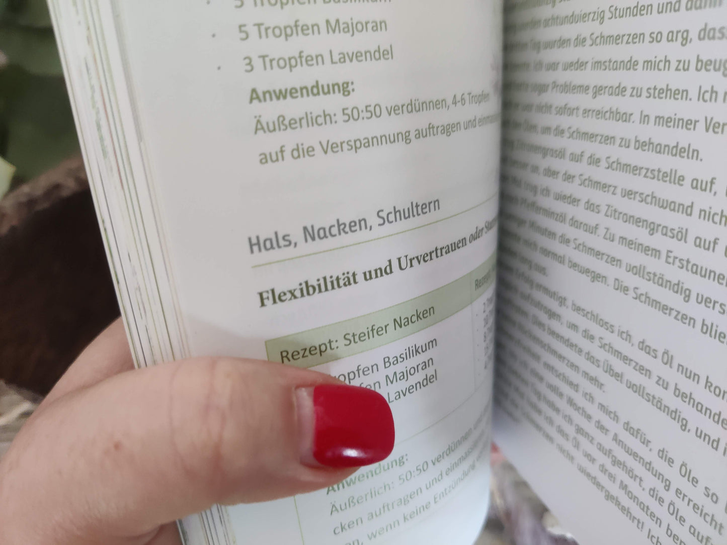 Buch: Schmerzen - Mit Duftmedizin auf sanfte Weise lindern von Maria L. Schasteen