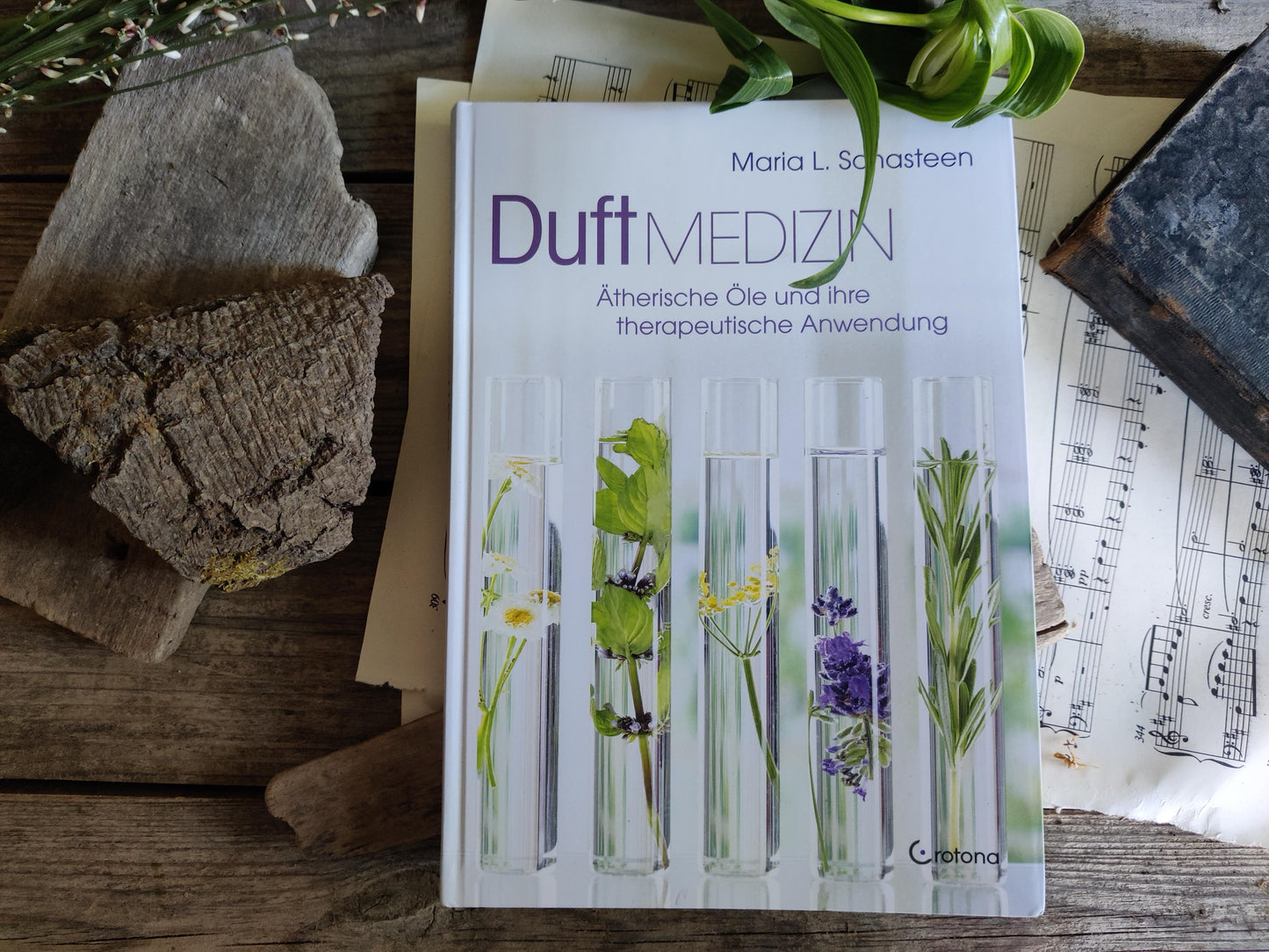 „Duftmedizin“ von Maria Schasteen – Das große Pflanzenkraft-Nachschlagewerk