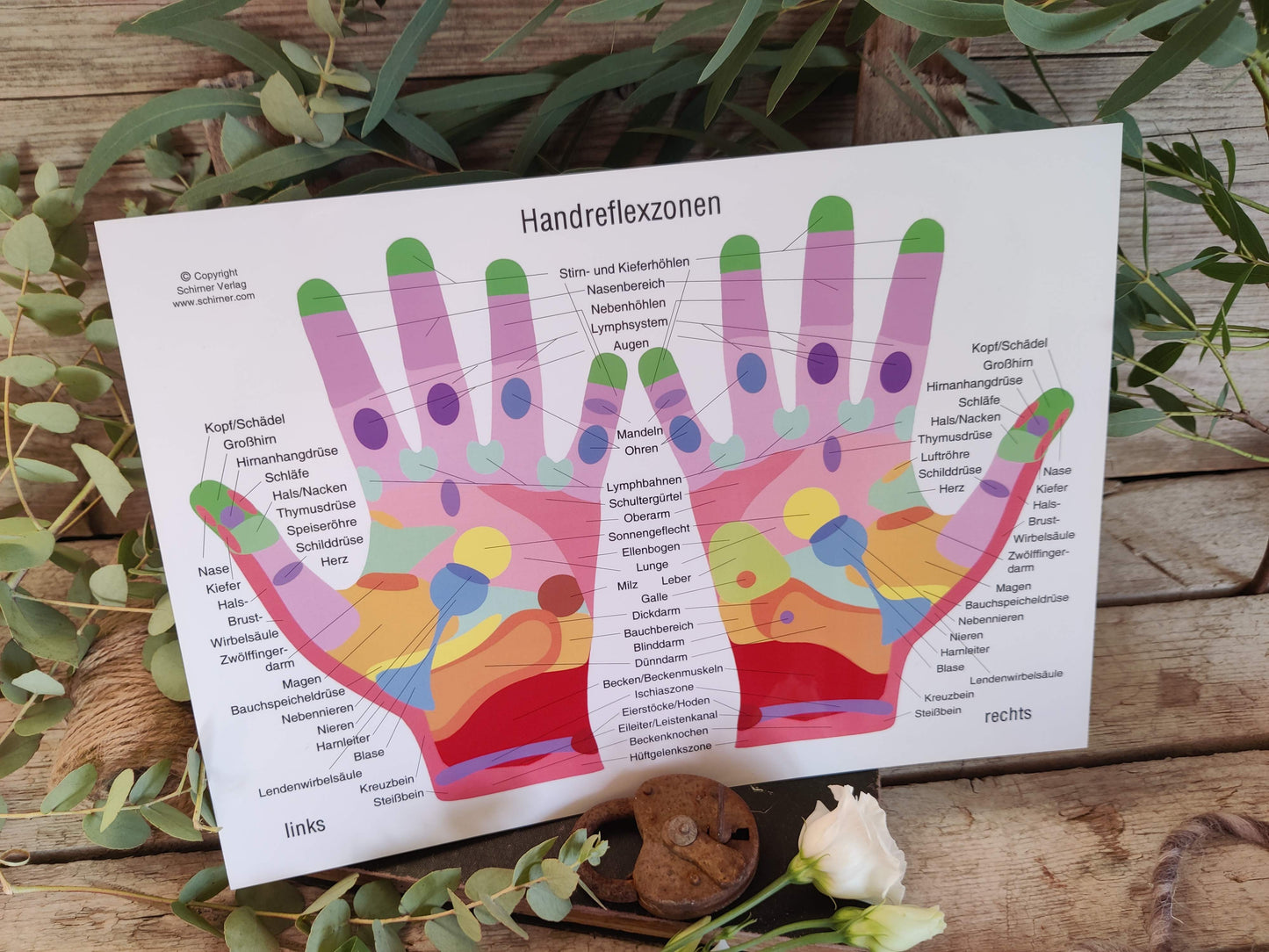 Handreflexzonenkarte DIN A4 – klar, laminiert & perfekt für deine Anwendungen