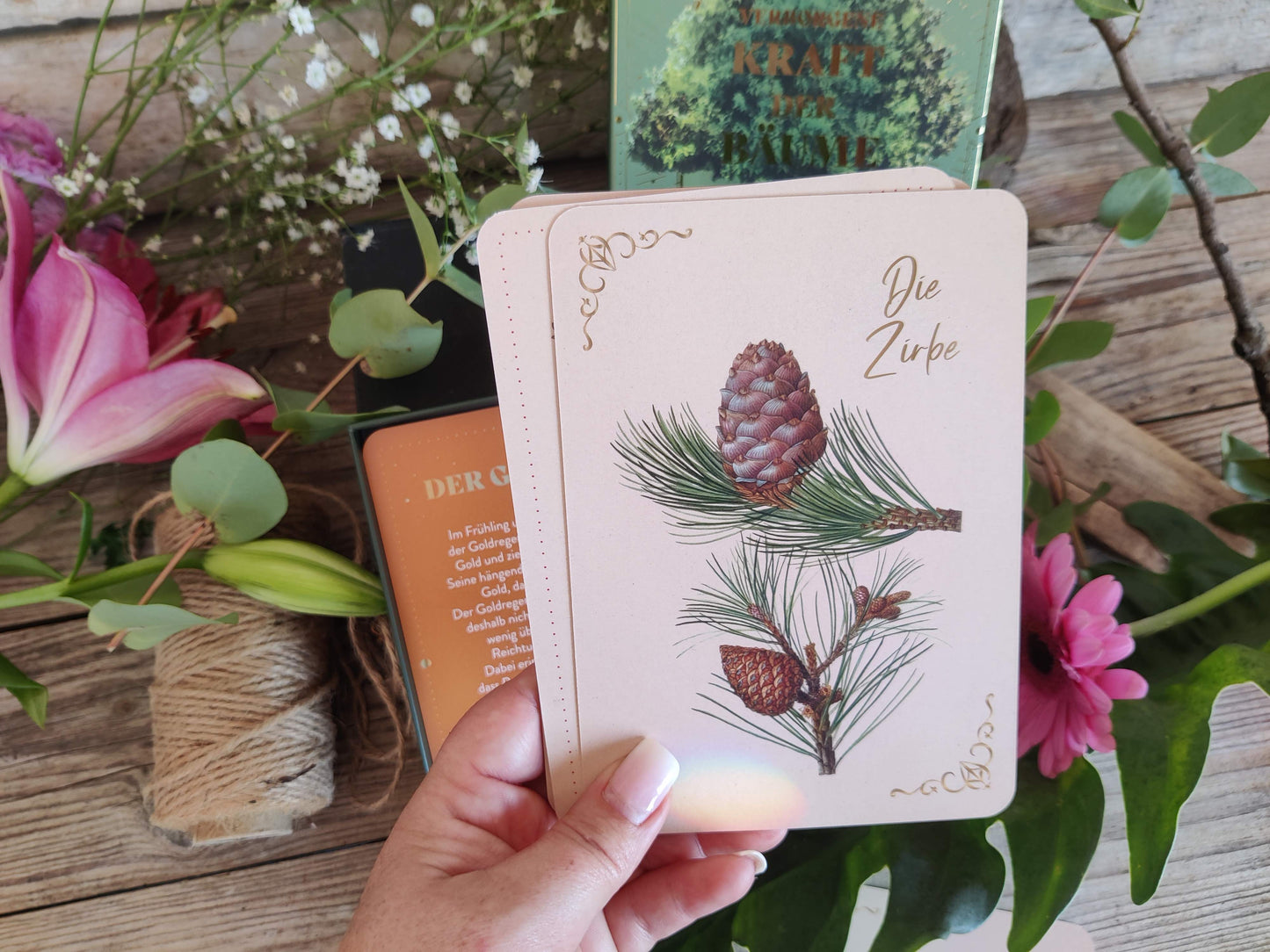 Orakelkarten – Die verborgene Kraft der Bäume