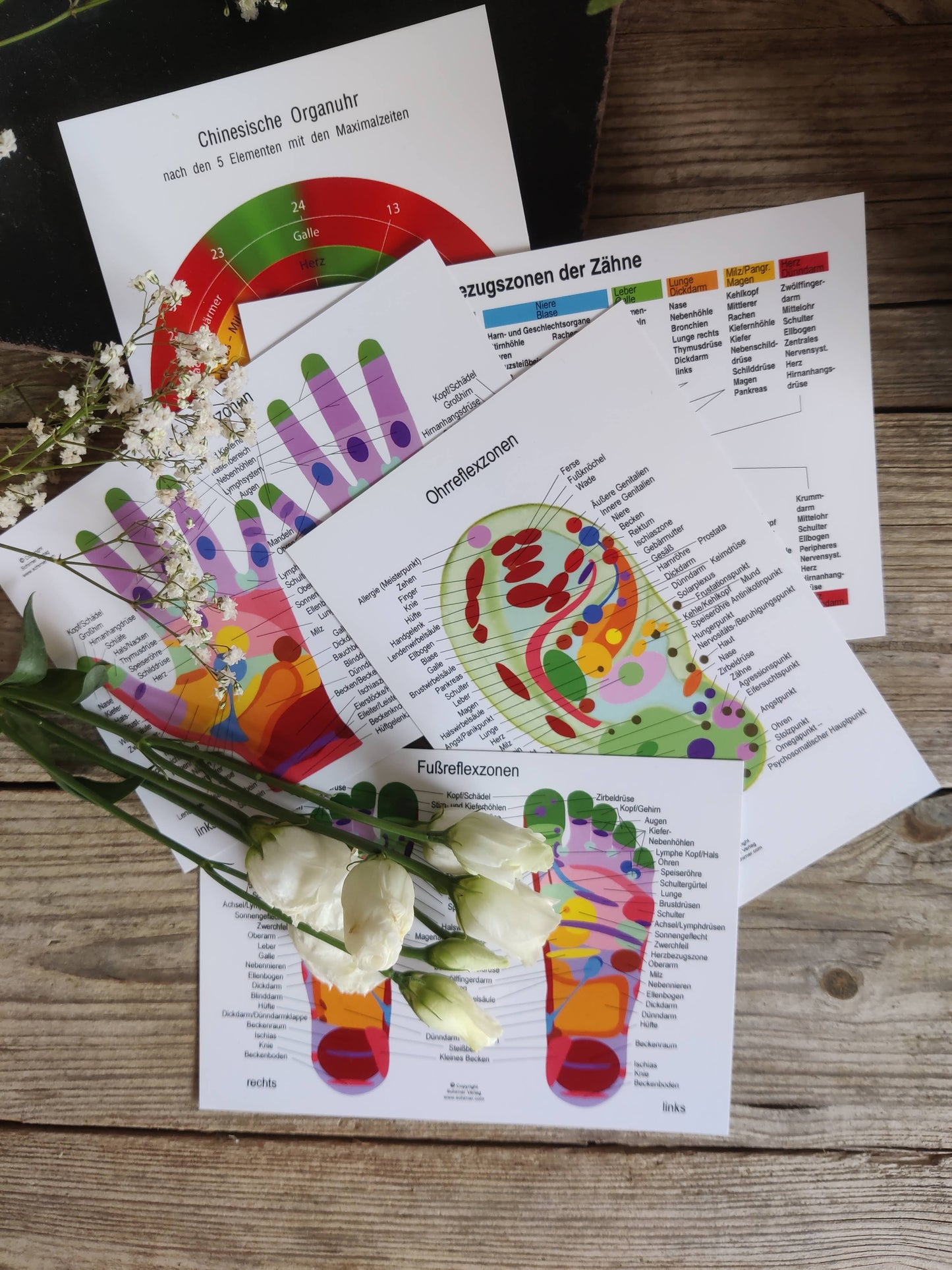 Sale: Reflexzonen-Postkarten-Set – Fuß, Hand, Ohr & mehr auf einen Blick