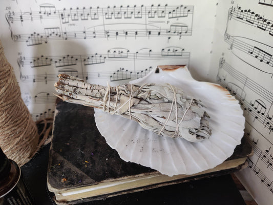 Weißer Salbei Räucherbündel – Reinigung, Energie & uralte Kraft