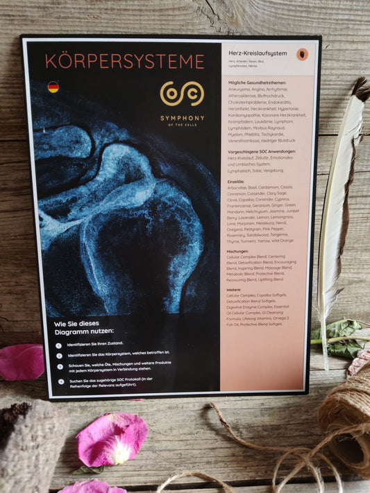Symphony of the Cells Körpersysteme, eine Diagrammkarte für den täglichen Bedarf!