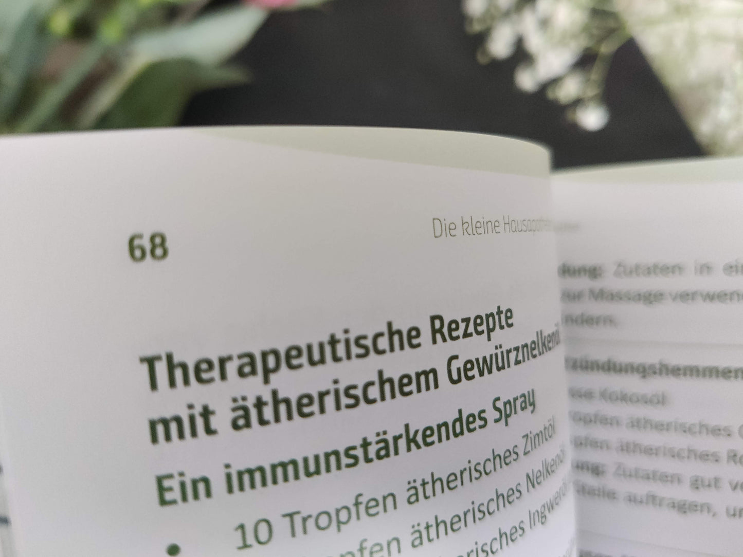 Buch: Kleine Hausapotheke der ätherischen Öle von Maria L. Schasteen