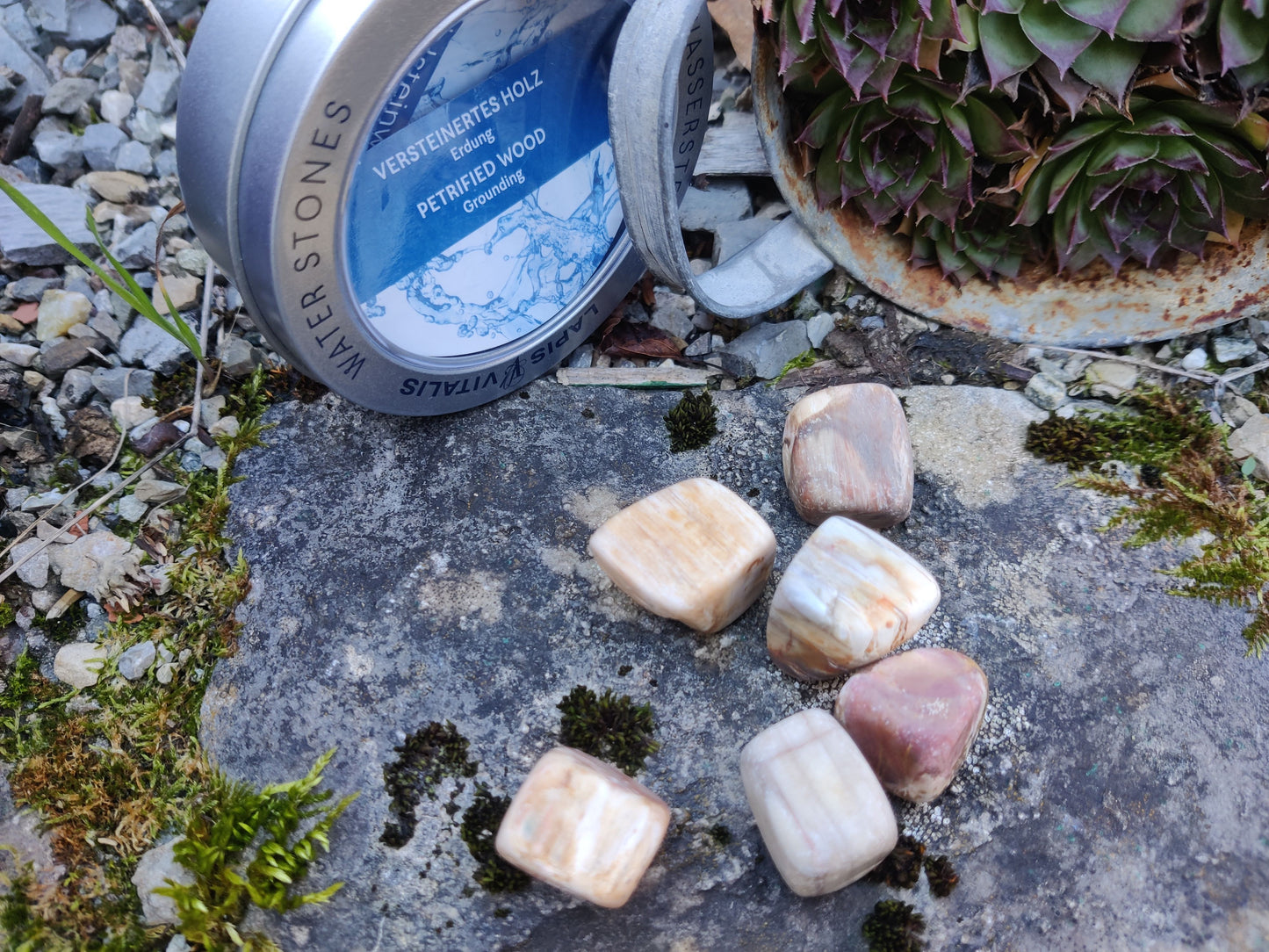 Edelstein- Wasser I Wassersteine: versteinertes Holz - Erdung