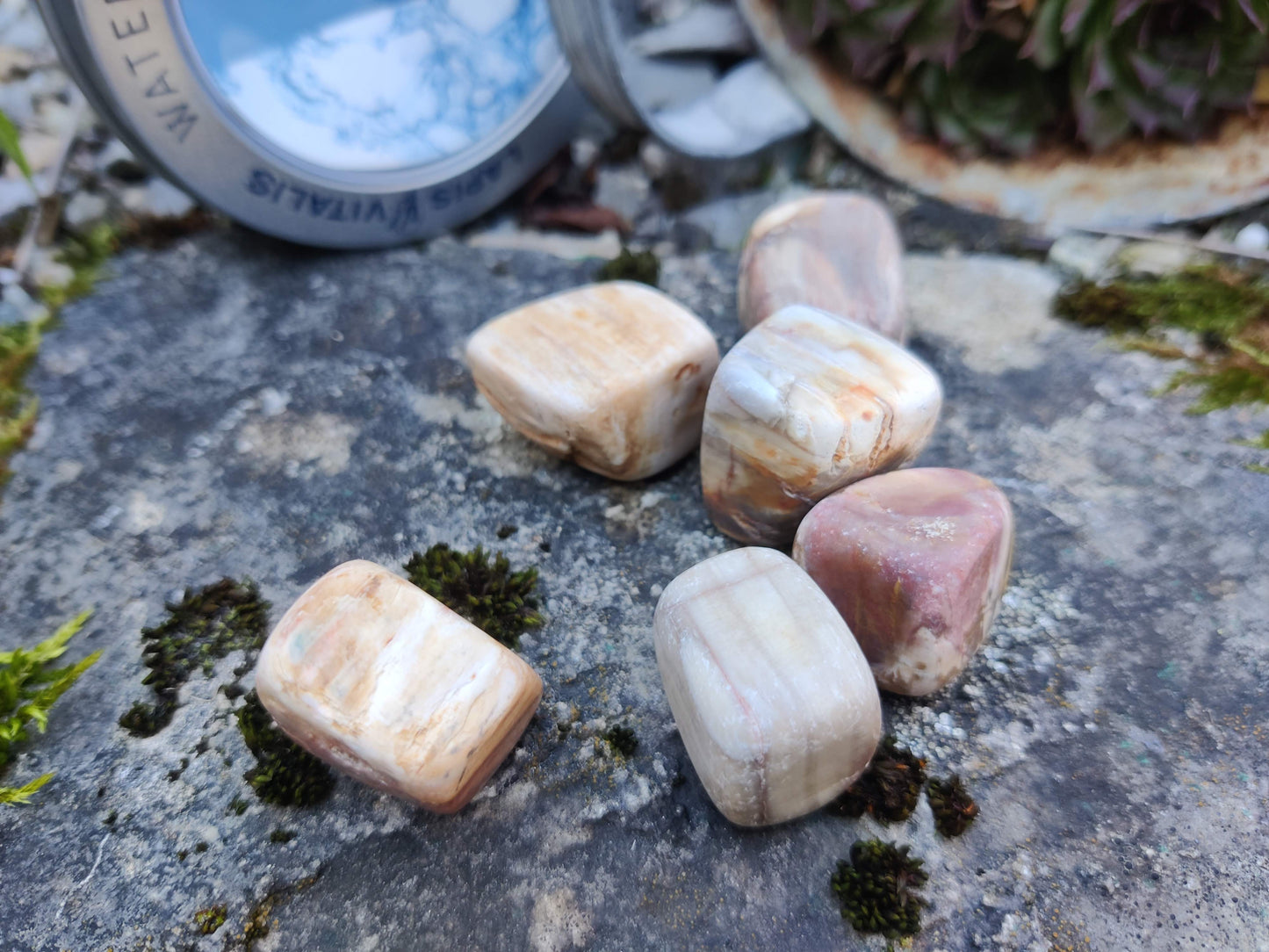 Edelstein- Wasser I Wassersteine: versteinertes Holz - Erdung