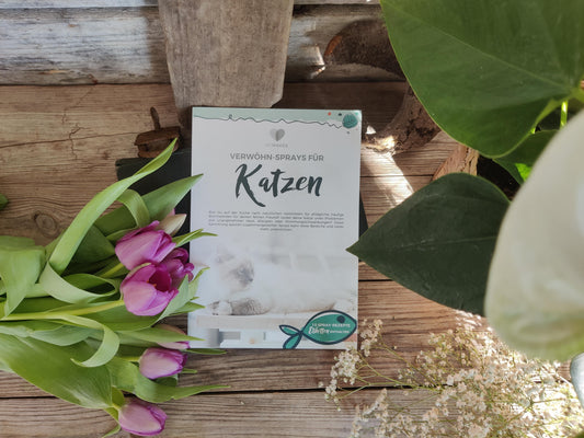 MYMAKES: Verwöhnsprays für Katzen Broschüre