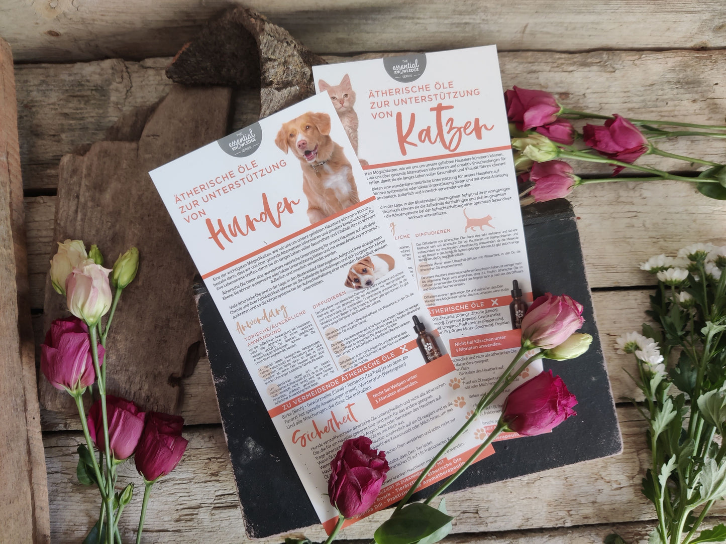 Aromatherapie für Hunde – Kompakte Info-Karte zur sicheren Anwendung ätherischer Öle