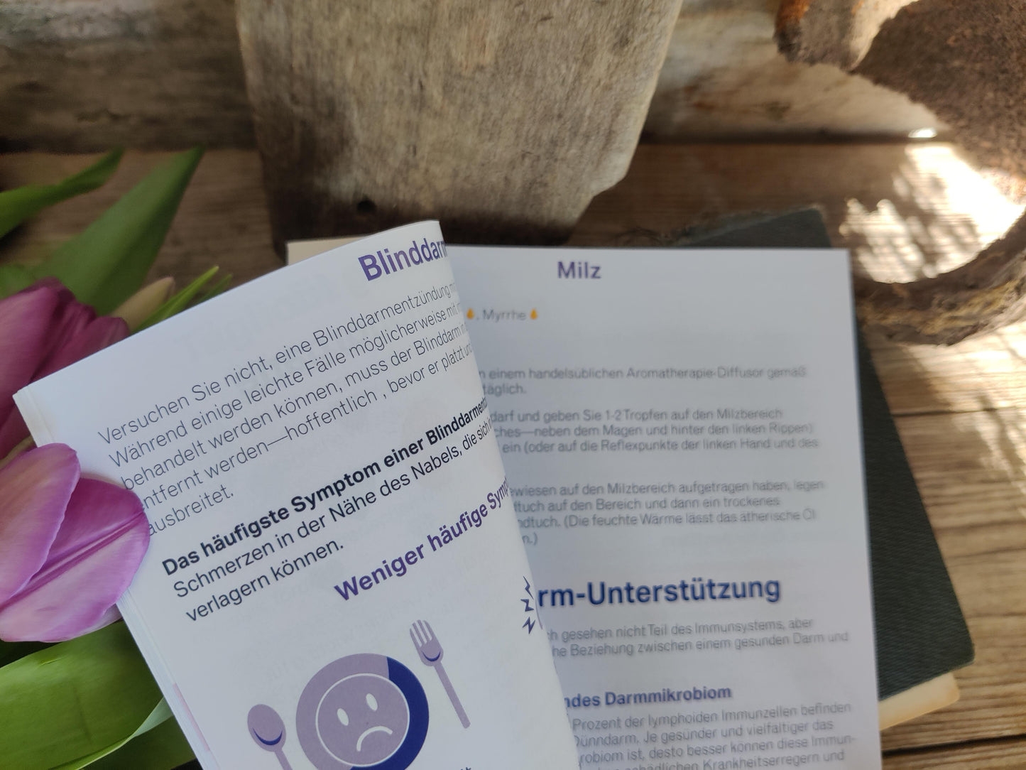 Broschüre: Wichtige Unterstützung - IMMUNITÄT