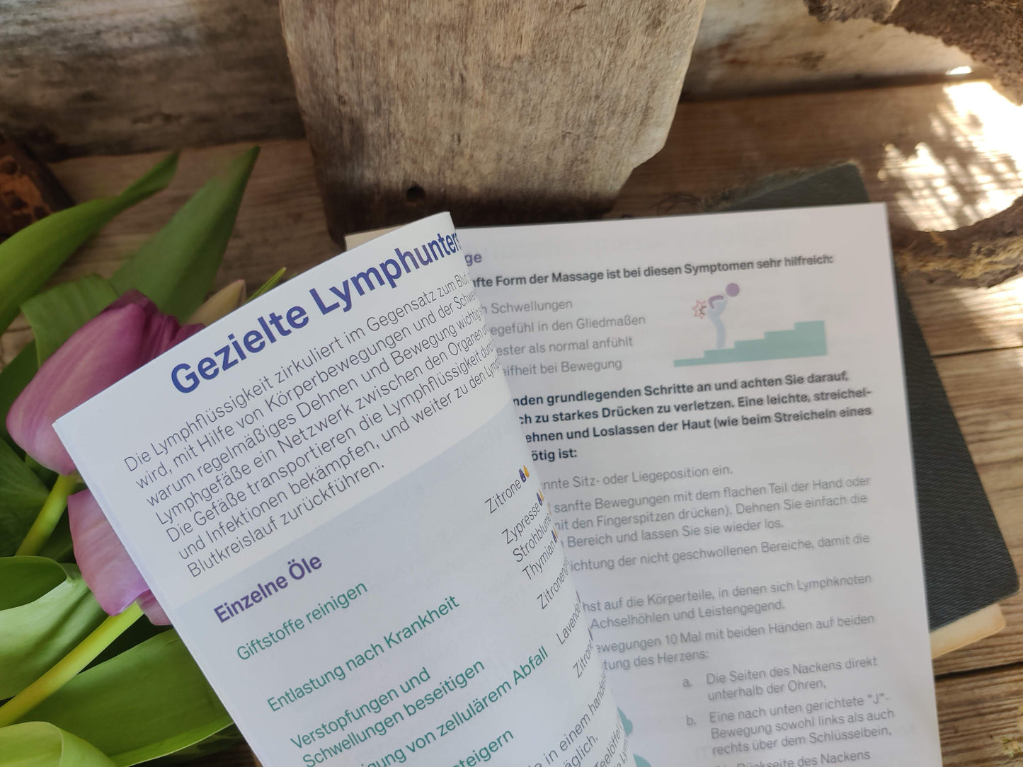 Broschüre: Wichtige Unterstützung - IMMUNITÄT