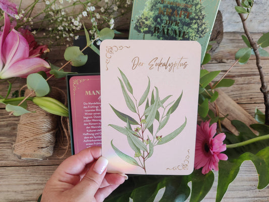 Orakelkarten – Die verborgene Kraft der Bäume