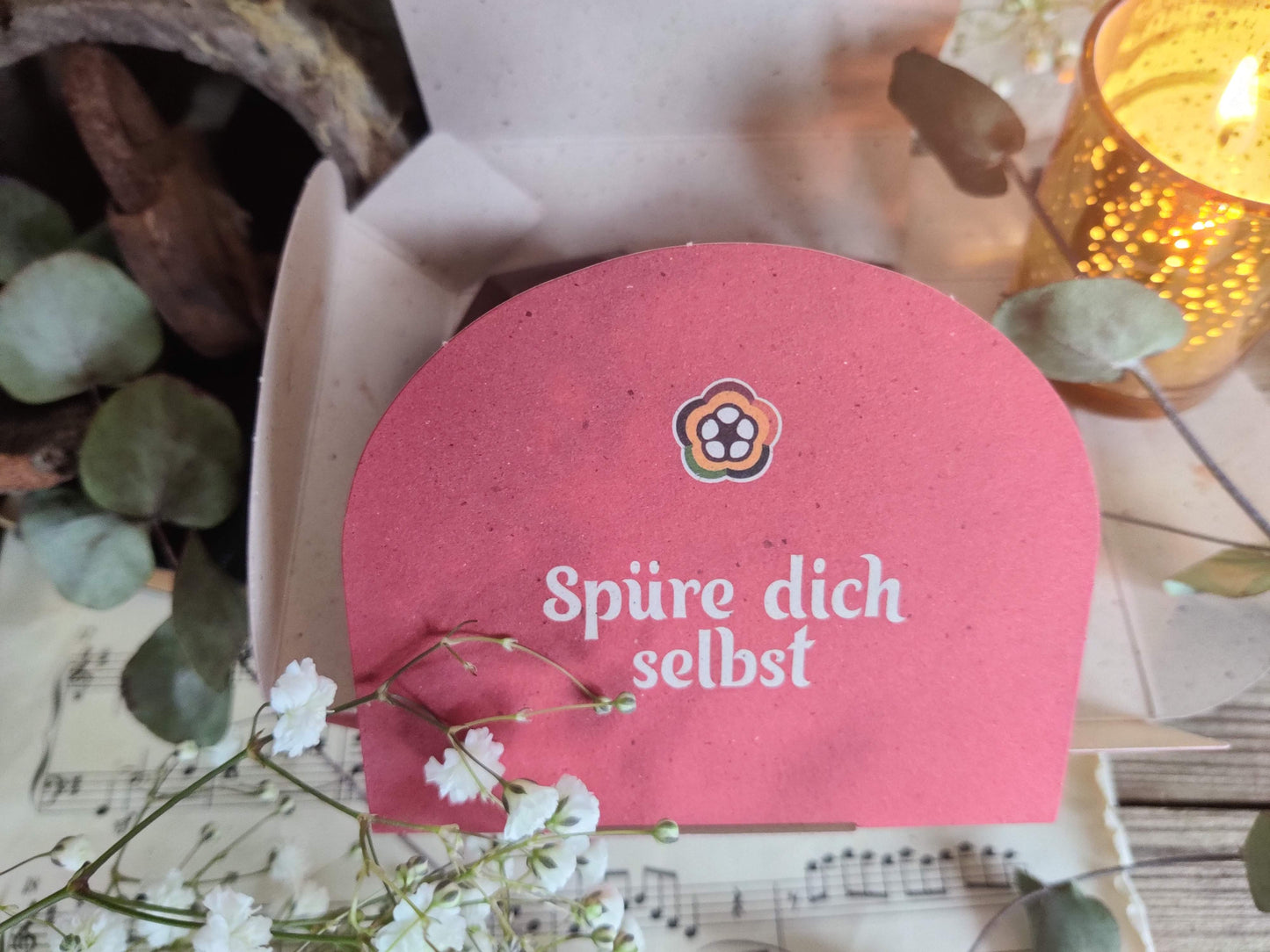 Piura Blanco „Diamantherz“ – 150g Kakao, der kreative Räume öffnet