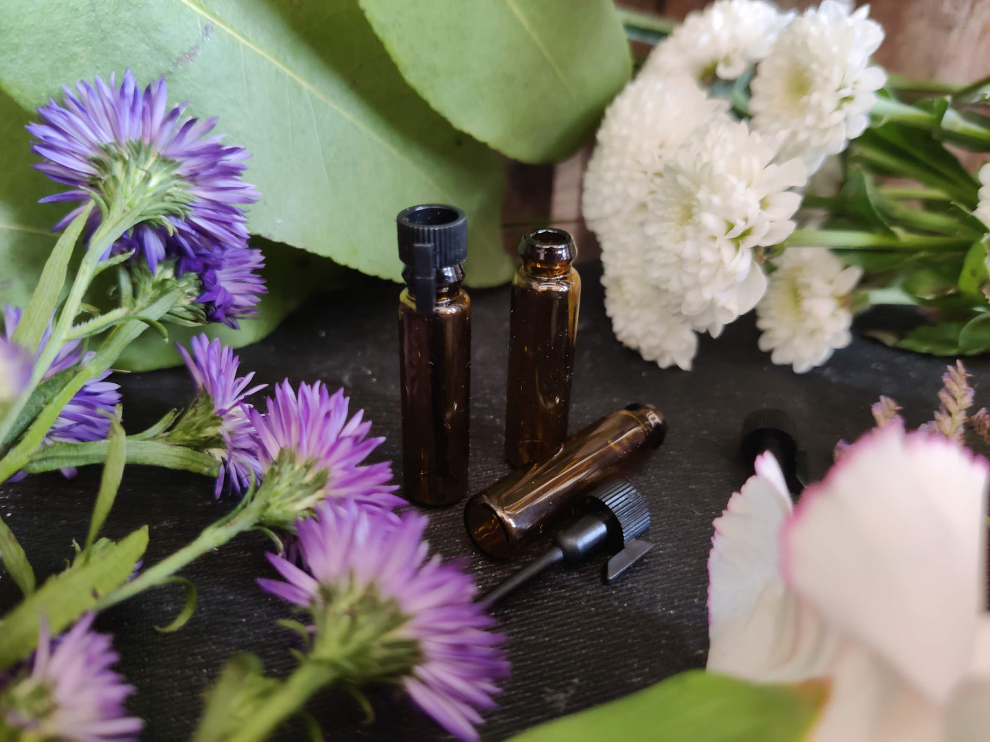 Basic Braun – 1ml Probeflasche mit schwarzem Verschluss