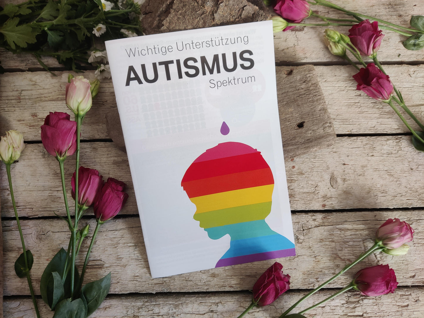Broschüre: Wichtige Unterstützung – AUTISMUS Spektrum