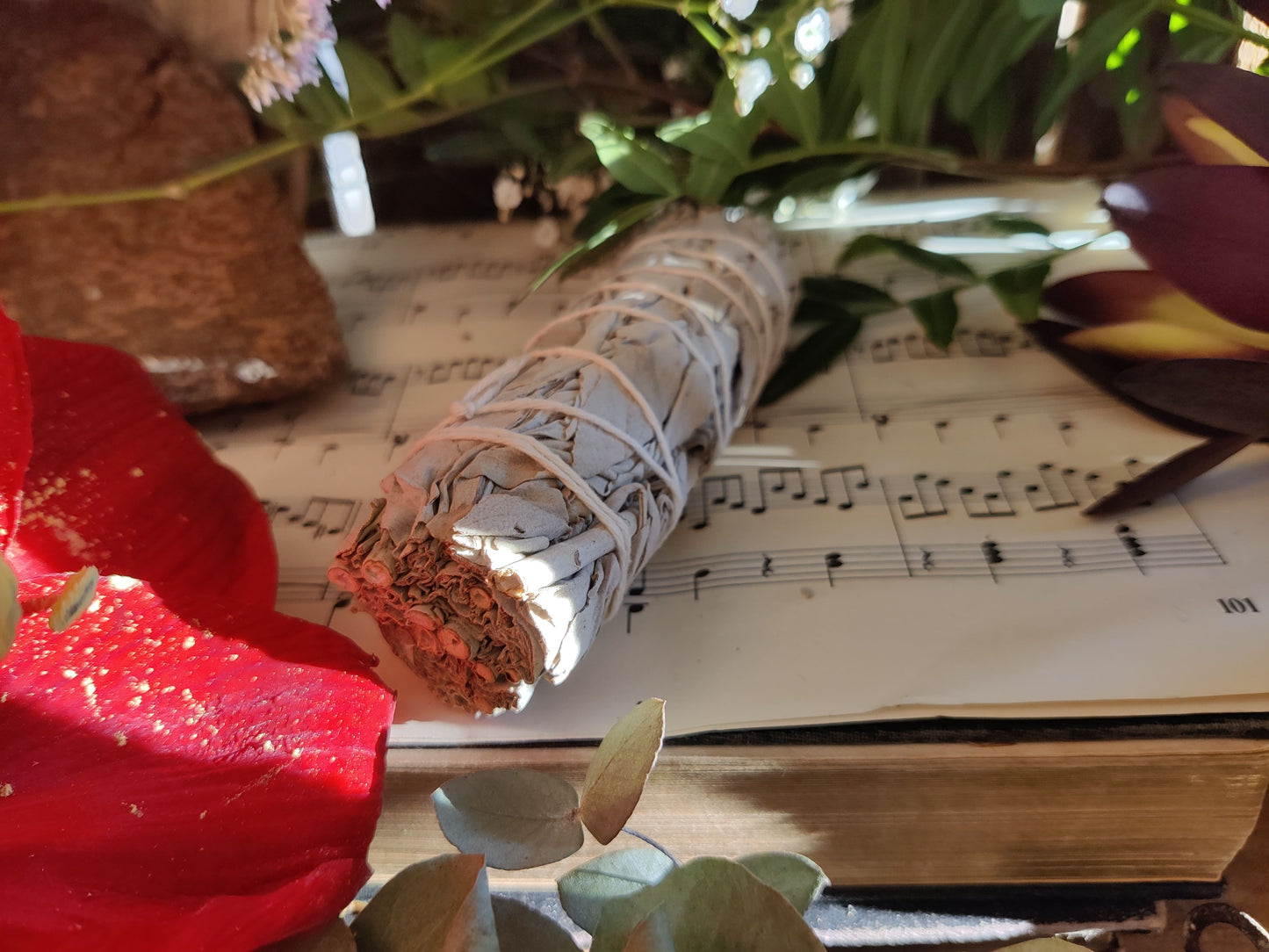 Weißer Salbei Räucherbündel – Reinigung, Energie & uralte Kraft