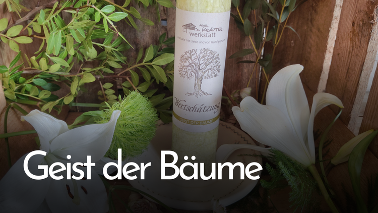 Geist der Bäume- Allgäuer Heilkräuter Kerzen