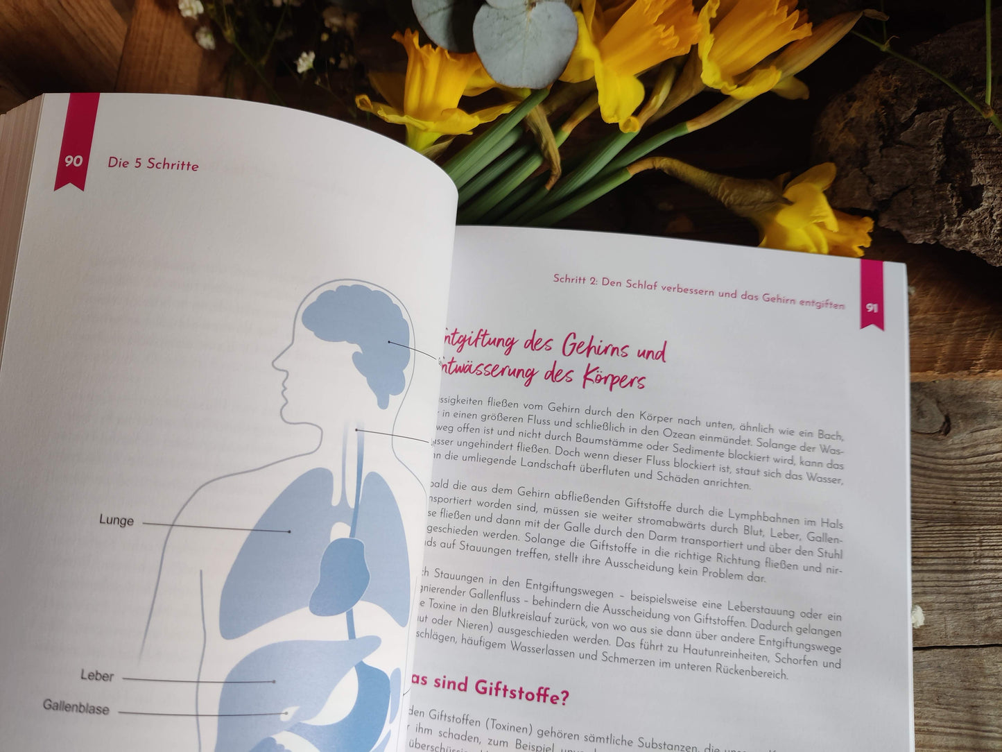 Aromatherapie für ein starkes Gehirn – Jodi Cohen