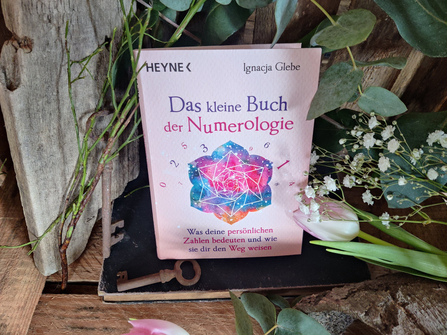 Das kleine Buch der Numerologie – Ignacja Glebe