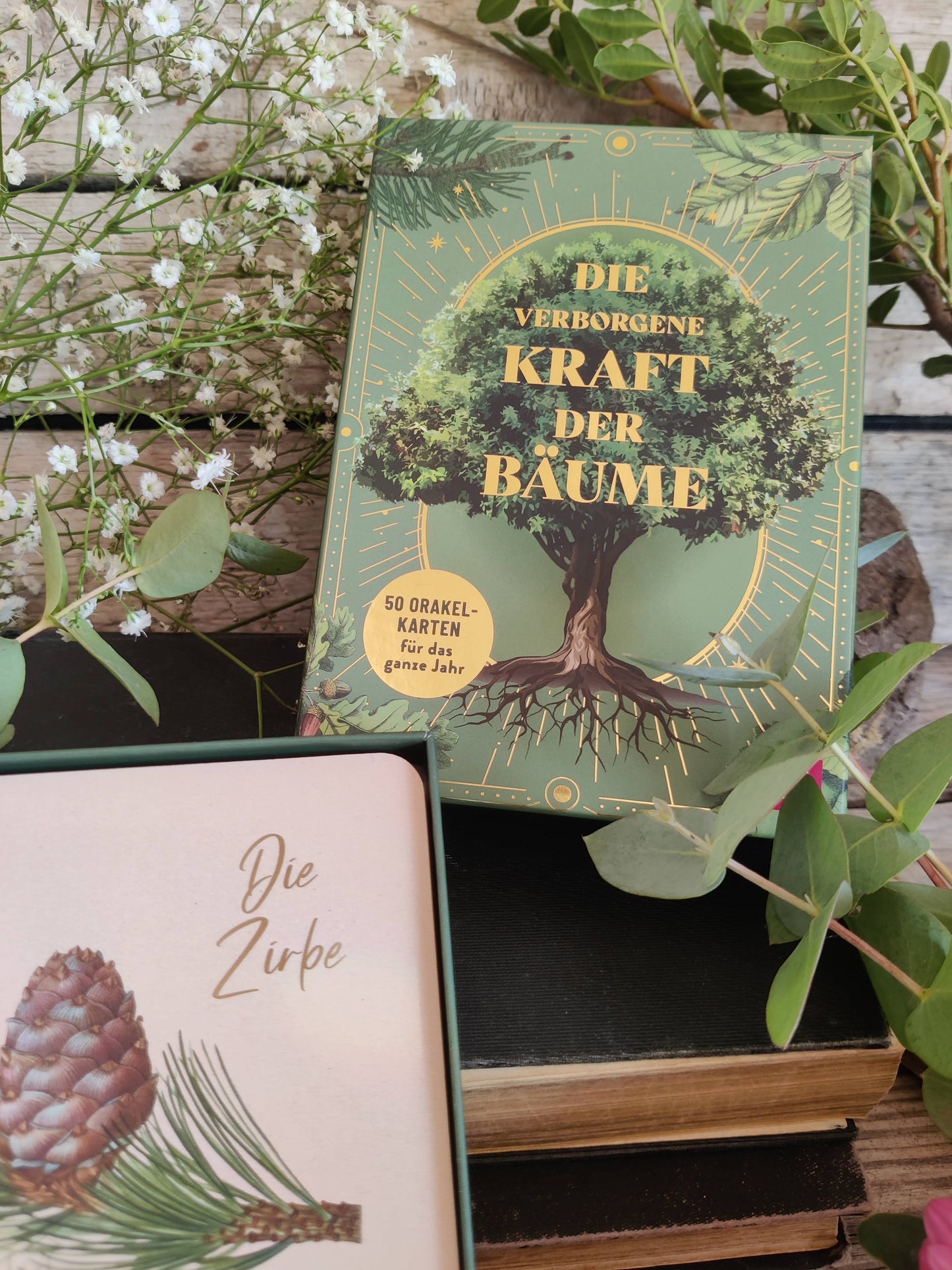 Orakelkarten – Die verborgene Kraft der Bäume