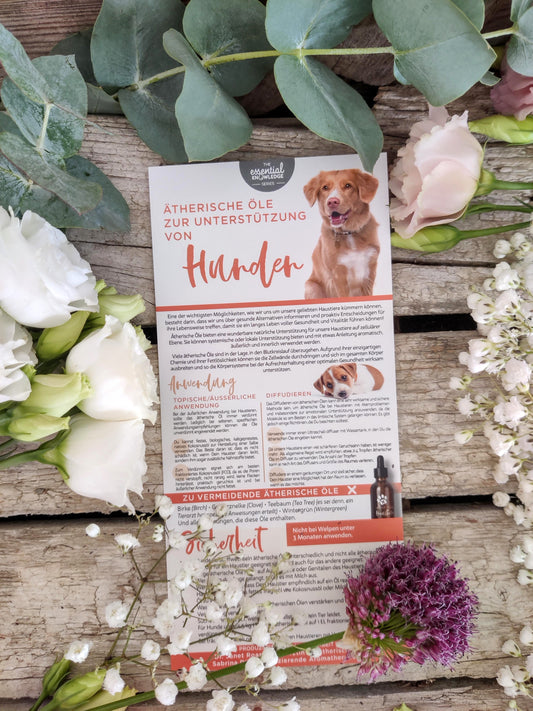 Aromatherapie für Hunde – Kompakte Info-Karte zur sicheren Anwendung ätherischer Öle