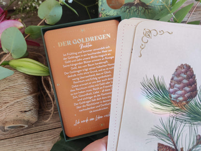 Orakelkarten – Die verborgene Kraft der Bäume