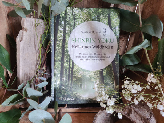 Shinrin Yoku – Heilsames Waldbaden von Yoshifumi Miyazaki