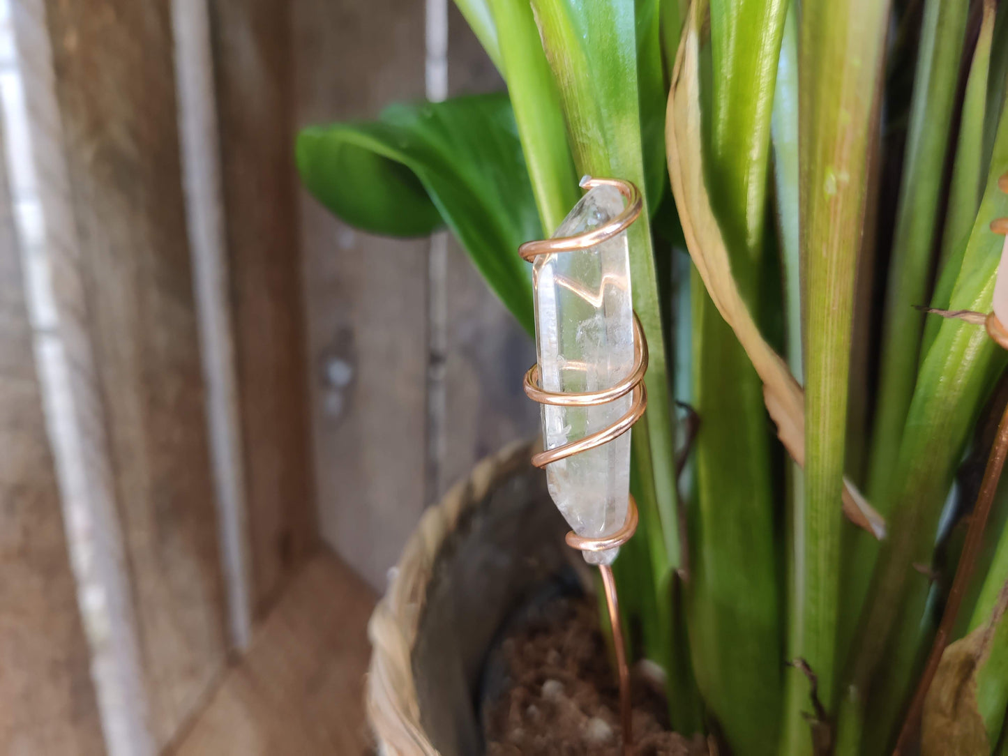 4 schöne Kristall-Pflanzenstecker für drinnen & draußen