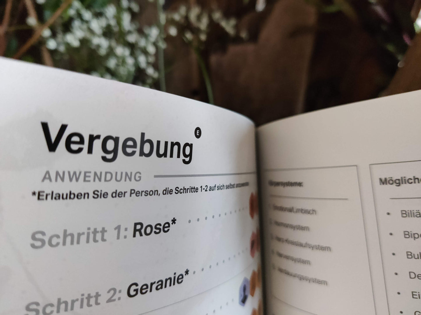 Symphony of the Cells – Anwendungsbroschüre (8. Ausgabe 2025, Deutsch)