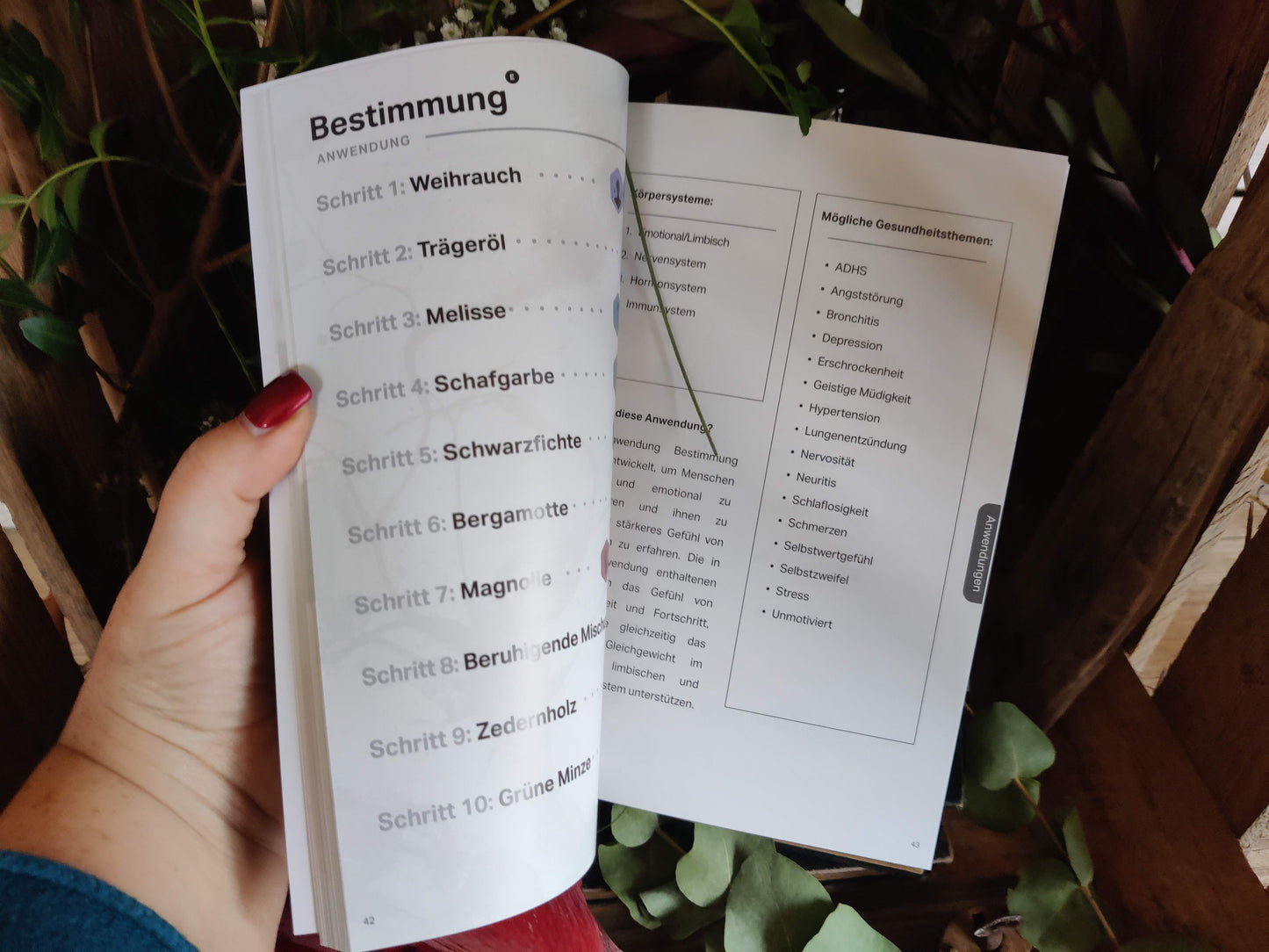 Symphony of the Cells – Anwendungsbroschüre (8. Ausgabe 2025, Deutsch)