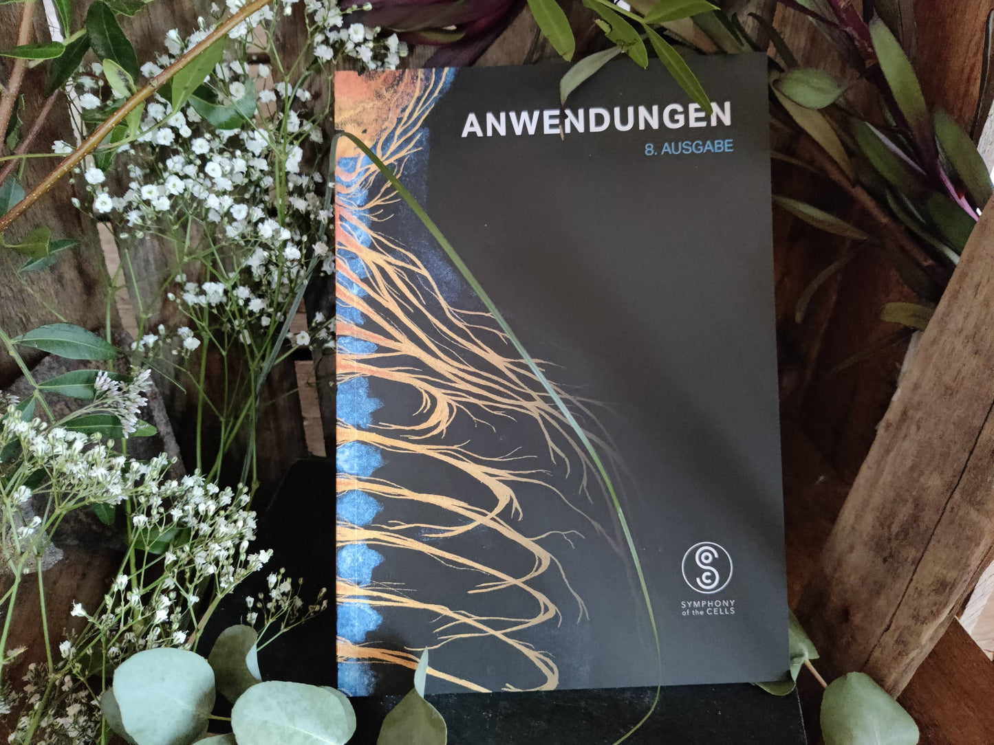 Symphony of the Cells – Anwendungsbroschüre (8. Ausgabe 2025, Deutsch)