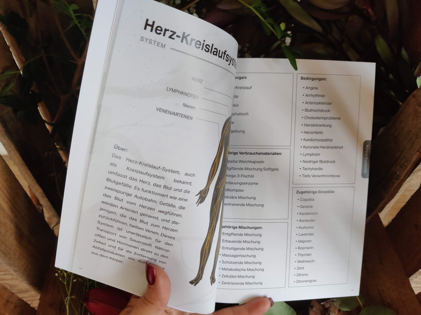 Symphony of the Cells – Anwendungsbroschüre (8. Ausgabe 2025, Deutsch)