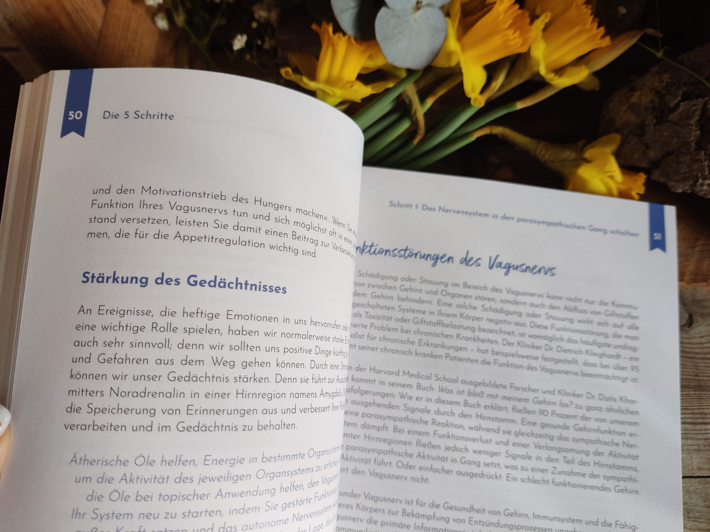 Aromatherapie für ein starkes Gehirn – Jodi Cohen