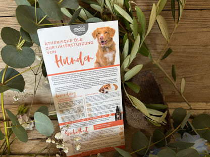 Aromatherapie für Hunde – Kompakte Info-Karte zur sicheren Anwendung ätherischer Öle