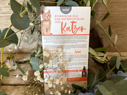 Aromatherapie für Katzen– Kompakte Info-Karte zur sicheren Anwendung ätherischer Öle