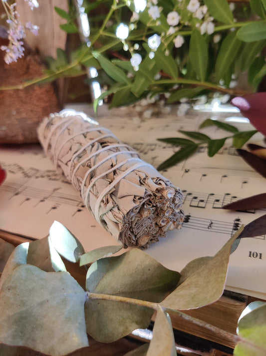 Weißer Salbei Räucherbündel – Reinigung, Energie & uralte Kraft