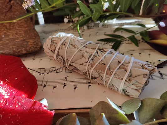 Weißer Salbei Räucherbündel – Reinigung, Energie & uralte Kraft